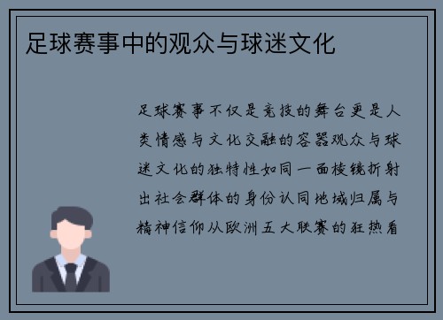 足球赛事中的观众与球迷文化